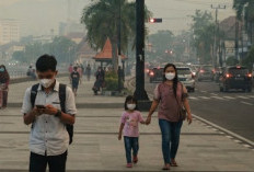 Kabut Asap Kiriman Selimuti Sultra, BMKG Imbau Warga Pakai Masker