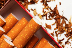 Sinergi Aparat Diperkuat! Bea Cukai Kendari Sita 3,9 Juta Batang Rokok Ilegal di Sultra