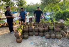 Mafia LPG Subsidi Antar-Kabupaten Diringkus! Polda Sultra Amankan Ratusan Tabung di Konawe Selatan