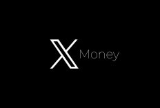 X Money Resmi Meluncur, Pengguna Medsos X Kini Bisa Transfer Uang hingga Bayar Pakai Kartu Visa