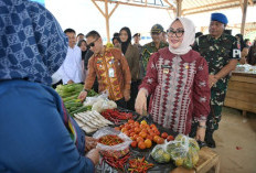  Tertibkan Pedagang di Bahu Jalan, Pasar Banteng Kendari Jadi Solusi Baru Bagi PKL