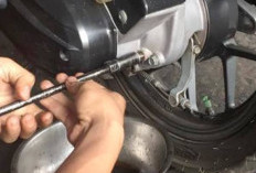 Waktu yang Tepat Ganti Oli Gardan Motor Matic, Jangan Diabaikan!