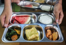 Libur Sekolah, MBG Tetap Jalan: Ibu Hamil, Balita, dan Ibu Menyusui Jadi Prioritas