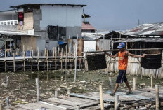 Wamen PKP Dorong Penataan Permukiman Kumuh di Sultra, Pemda Diminta Bergerak Cepat