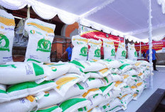 Pusat Kirim Bantuan Rp10 Miliar untuk Korban Banjir Sultra