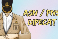 Tegas! 17 ASN Konawe Utara Dipecat, Ini Kasusnya