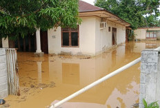 Pacu Normalisasi! BPBD Sultra Kerahkan Armada Bersihkan Sisa Banjir