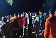 2 Mahasiswa Geologi UHO Dilaporkan Hilang di Hutan Konawe, Tim SAR Kerahkan Drone 