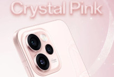 Ini Daya Tarik OPPO Reno 15 Pro Mini Warna Crystal Pink