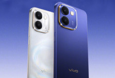 Intip Bocoran Spesifikasi Gahar Vivo Y600: Bawa Baterai 10.000 mAh dan Bodi Tahan Banting!