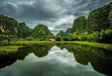 Harta Karun Alam Sultra Terungkap: 6.000 Km² Hutan dan Tiga Pegunungan Diusulkan Jadi Taman Nasional